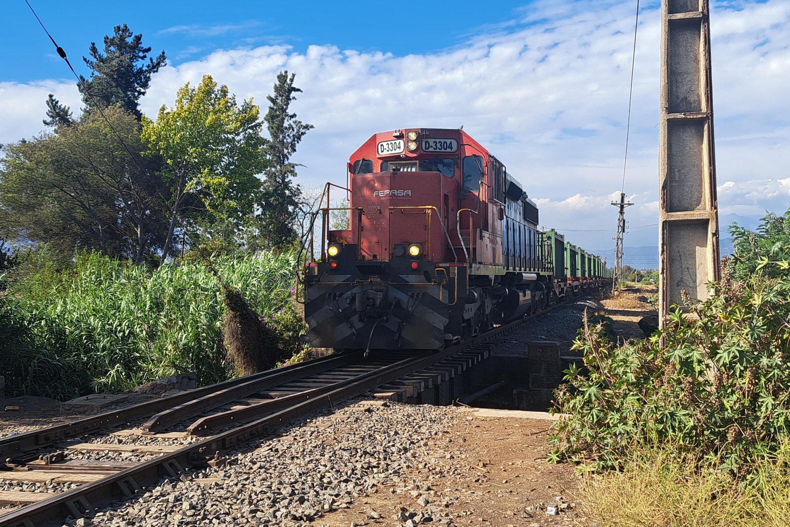Locomotora FEPASA de carga en San Pedro, Quillota, Chile